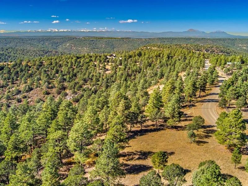 33250 Fox Trail, Trinidad, CO 81082 : Aguilar : Las Animas County : Colorado