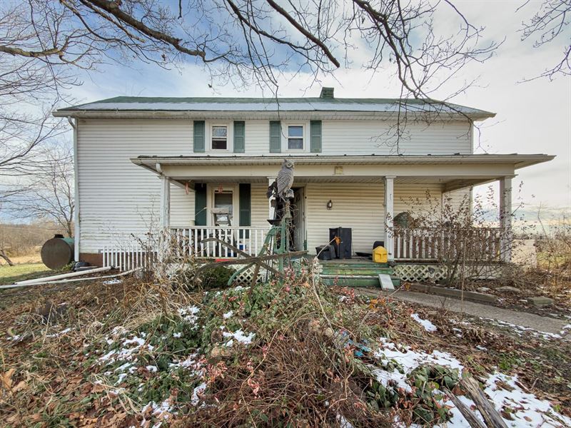 10159 Lake Rd, 6.9 Acres : Millersport : Fairfield County : Ohio