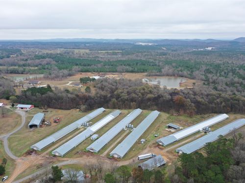 Tran Family Farm, 6 House Farm : Ashville : Saint Clair County : Alabama