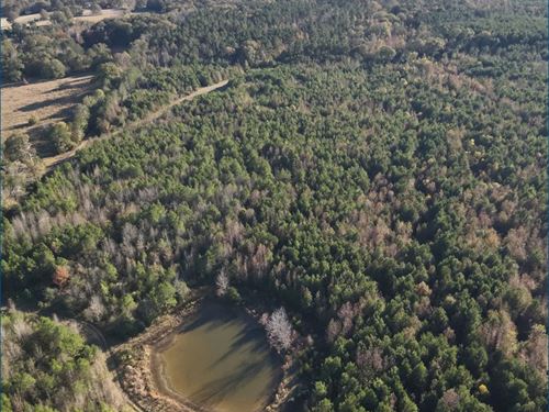 263 Acres in Hinds County in Crysta : Crystal Springs : Hinds County : Mississippi