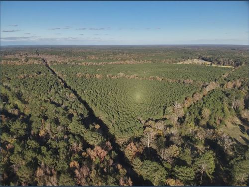 155 Acres in Madison County in Cant : Canton : Madison County : Mississippi