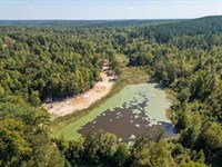 650 Acres Timberland And Lake Site : Pittsboro : Calhoun County : Mississippi