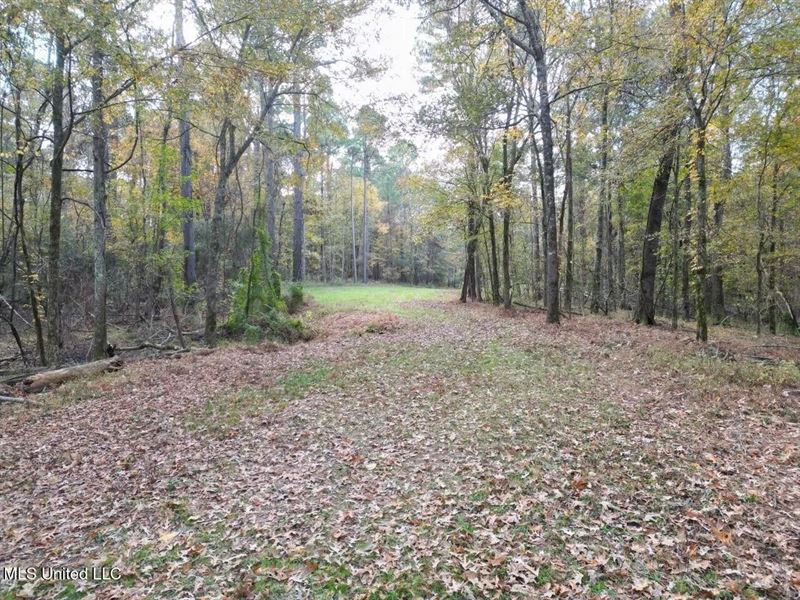 Roxie Mississippi, 94 Acre Recreat : Roxie : Franklin County : Mississippi