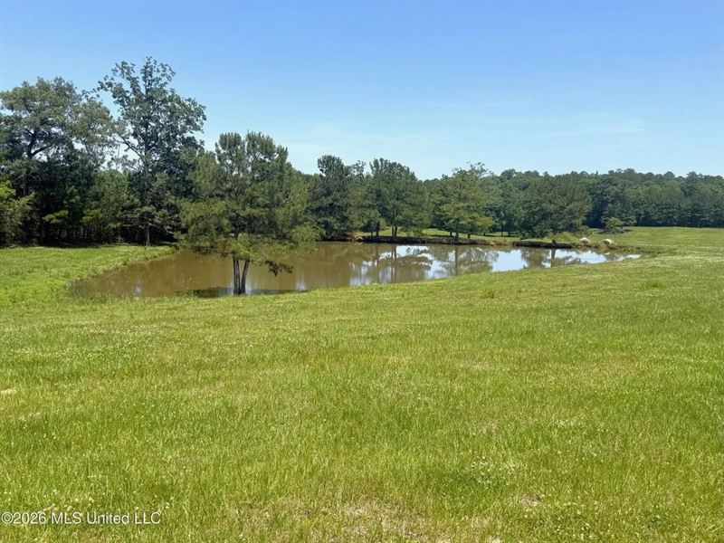 Rolling Hills Pastureland and Woode : McComb : Pike County : Mississippi