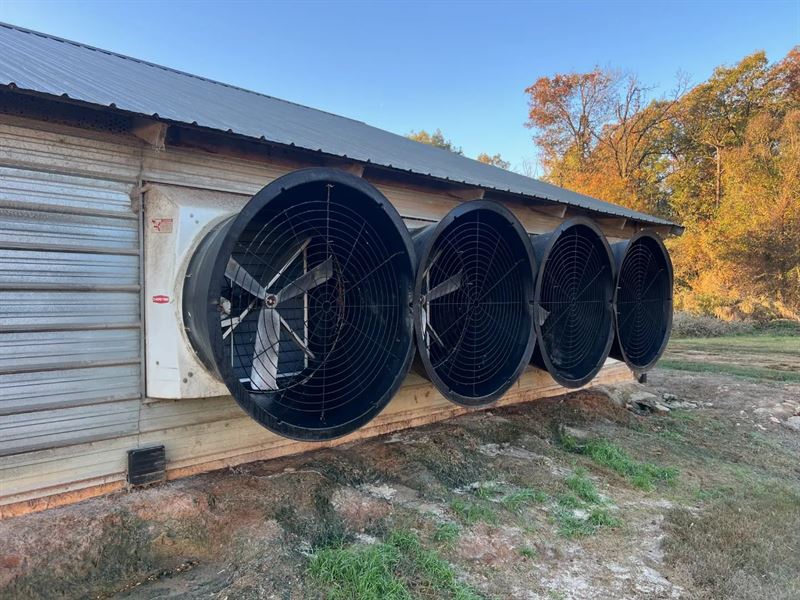 4 House Broiler Farm with Residence : Downsville : Union Parish : Louisiana