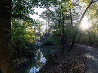 233-Acre Paradise on The Tickfaw RI : Osyka : Amite County : Mississippi