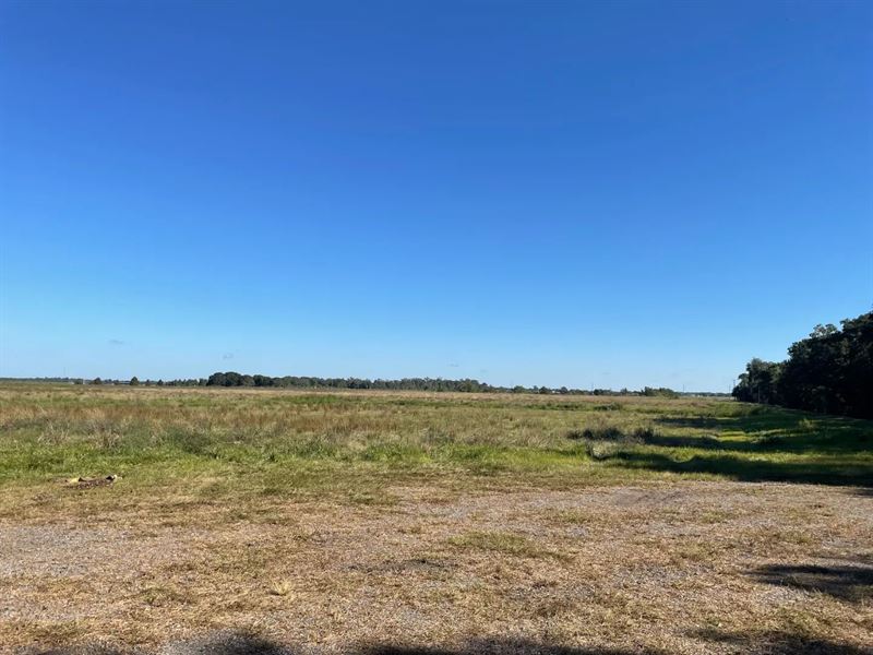 40 Acres on Vermillion River in Abb : Abbeville : Vermilion Parish : Louisiana