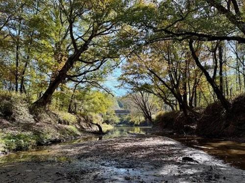 158.8 Acres Creek Frontage Clay Cou : Cedar Bluff : Clay County : Mississippi