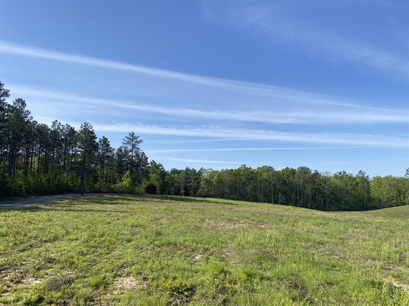 Land for Sale in Tn, 5.25 Acres : Bethel Springs : McNairy County : Tennessee