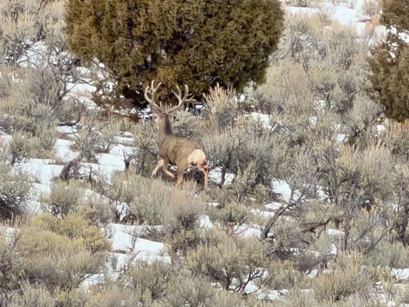Government Creek Overlook : Rifle : Garfield County : Colorado
