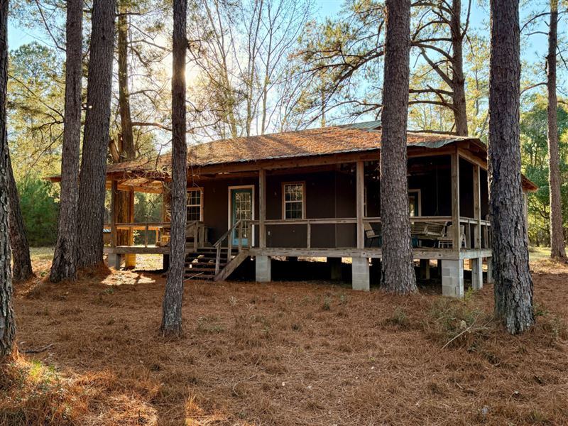 Cabin Lake Retreat Near Bay Minette : Bay Minette : Baldwin County : Alabama