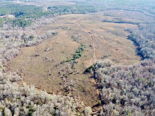 Double Creek Farm, 205 Acres : Lafayette : Chambers County : Alabama