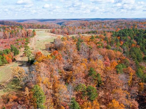 $999 Down, Multiple Tracts : Ellington : Reynolds County : Missouri