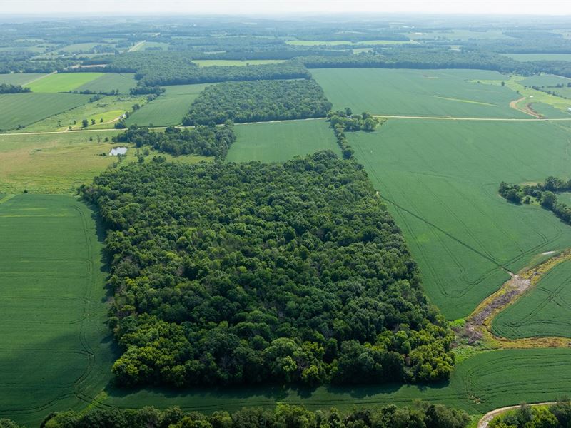 26.5 Acres St. Croix County, WI : Glenwood City : Saint Croix County : Wisconsin