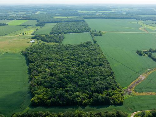 26.5 Acres St. Croix County, WI : Glenwood City : Saint Croix County : Wisconsin