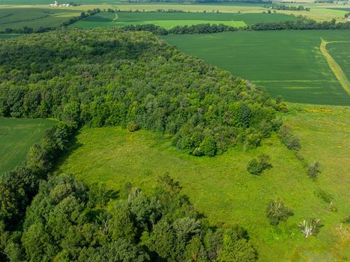 10 Acres St. Croix County, WI : Glenwood City : Saint Croix County : Wisconsin