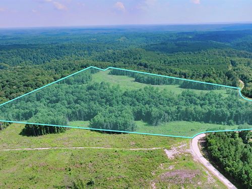 37.2 Acres w Power & Fiber Internet : Dover : Stewart County : Tennessee
