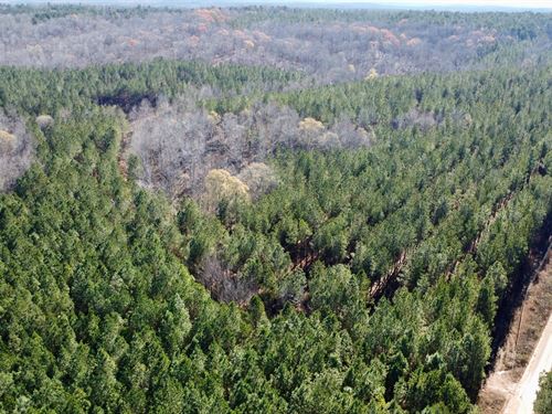 Cedar Creek Farm, 79 Ac in Rand : Roanoke : Randolph County : Alabama