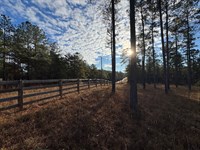 39 Acres in Lee County, AL : Camp Hill : Lee County : Alabama