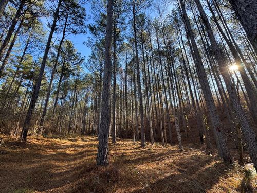 39 Acres in Lee County, AL : Camp Hill : Lee County : Alabama