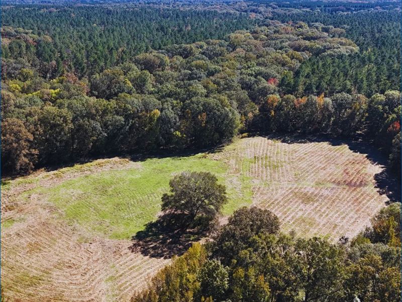 984 Acres in Claiborne County in Po : Port Gibson : Claiborne County : Mississippi