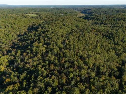 Multiple Tracts, $999 Down : Ellington : Reynolds County : Missouri