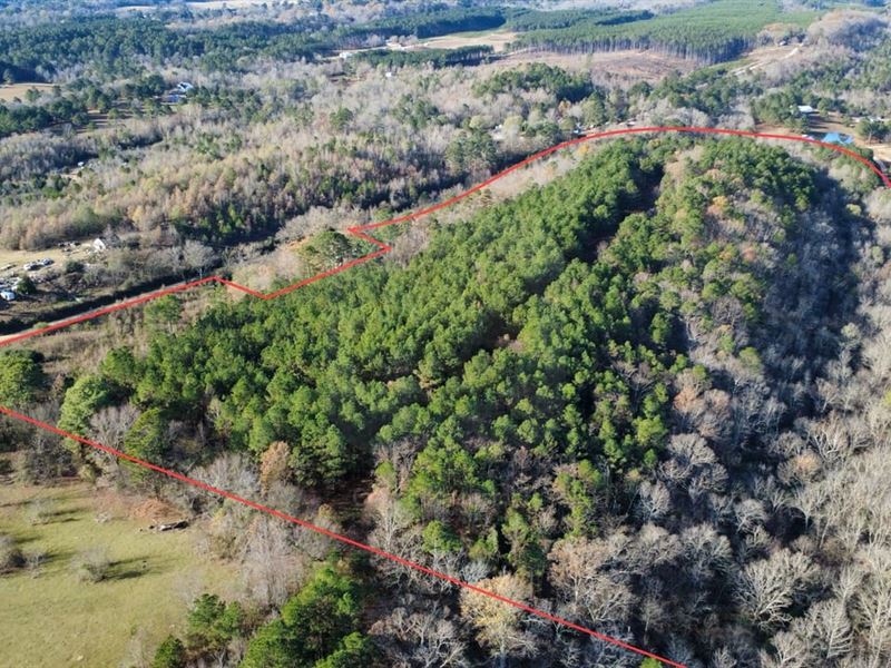 Reduced Price 38.94 Acres Hot : Bismarck : Hot Spring County : Arkansas