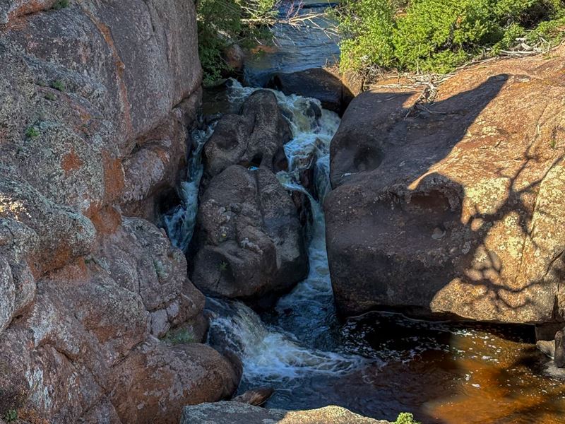 Sand Creek 40 : Red Feather Lakes : Larimer County : Colorado
