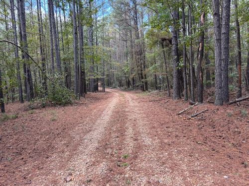 29.79 Acres in Rankin County, MS : Mendenhall : Rankin County : Mississippi