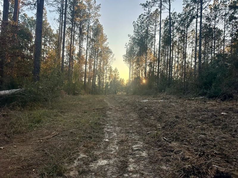 35.02 Acres in Copiah County, MS : Wesson : Copiah County : Mississippi