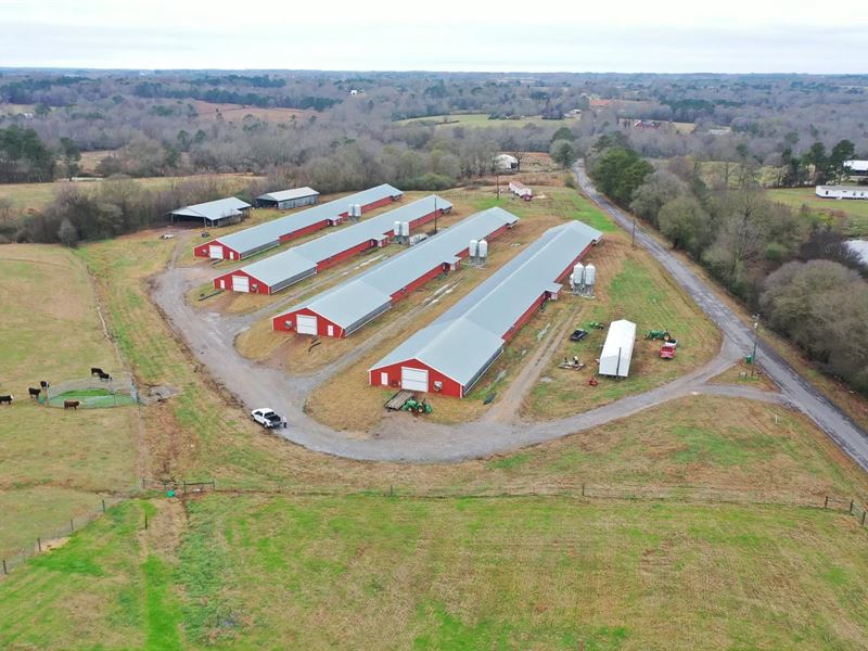 Price Reduced, Light Broiler Farm : Arab : Cullman County : Alabama