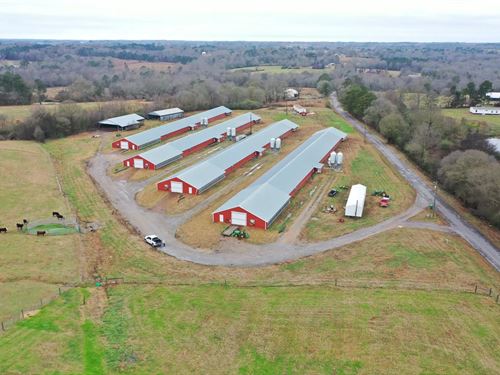 Price Reduced, Light Broiler Farm : Arab : Cullman County : Alabama