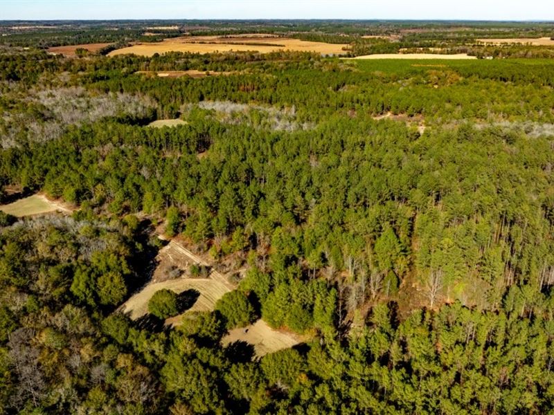 Whitewater Ranch : Butler : Taylor County : Georgia