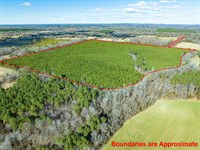 Unrestricted Silk Hope Community : Siler City : Chatham County : North Carolina