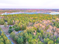 25.45 Wooded Acres with Utilities : Norway : Orangeburg County : South Carolina