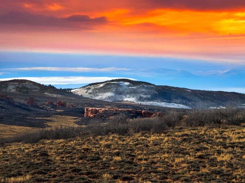 36.8 Acres in Larimer County, CO : Red Feather Lakes : Larimer County : Colorado