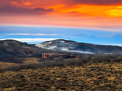 36.8 Acres in Larimer County, CO : Red Feather Lakes : Larimer County : Colorado