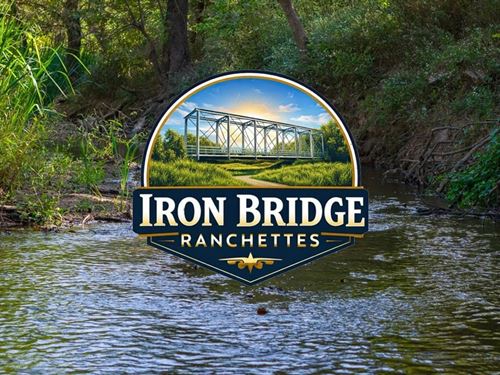 12 Acres, Providence Road, T-6 : Calvert : Robertson County : Texas