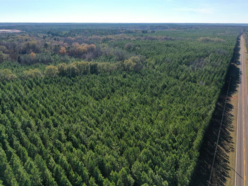 Boggy Branch Farm : Andersonville : Macon County : Georgia