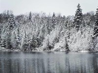 Unique Riverfront Property : Newberry : Luce County : Michigan