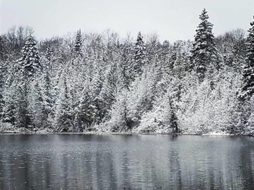 Unique Riverfront Property : Newberry : Luce County : Michigan