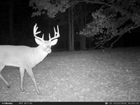 77+ Acres, Farm- Woods, Building : Markleville : Madison County : Indiana