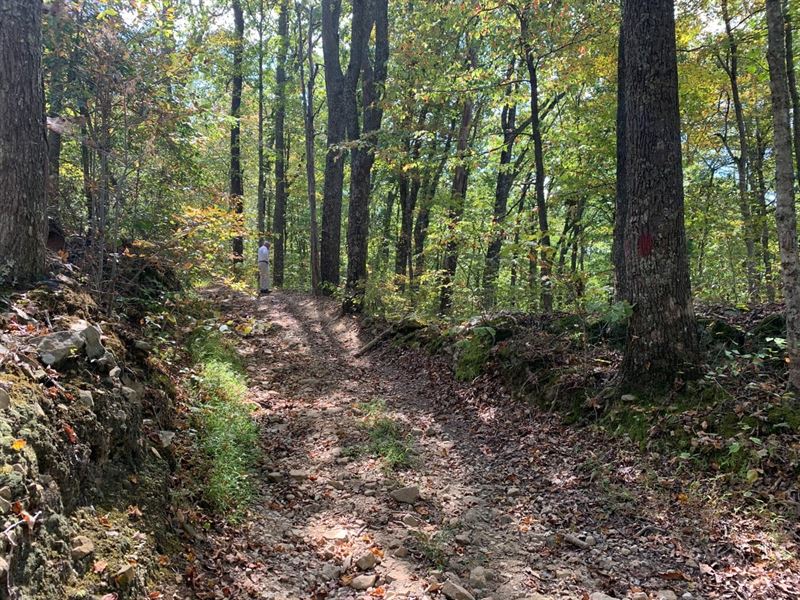 Drip Spring : Irvine : Estill County : Kentucky