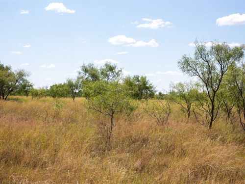 $999 Down Land with Electricity : Doole : McCulloch County : Texas
