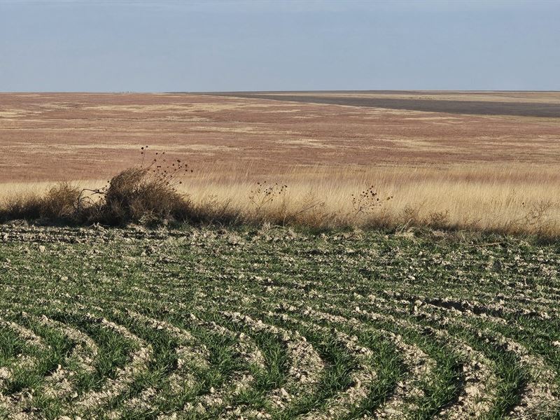 Westward C Farmland, 557.7 Acres : Wallace : Wallace County : Kansas