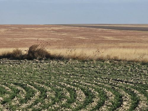 Westward C Farmland, 557.7 Acres : Wallace : Kansas