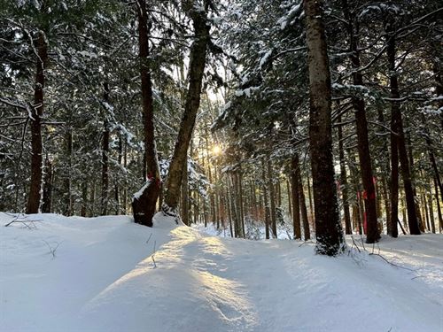 Wooded Five Acres Near Camden : Camden : Oneida County : New York