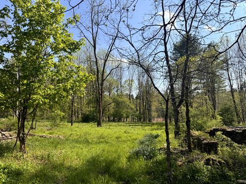 Peaceful Country Setting : Camden : Oneida County : New York