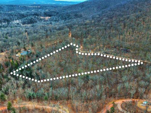 Road Access with Owner Financing : Hedgesville : Morgan County : West Virginia