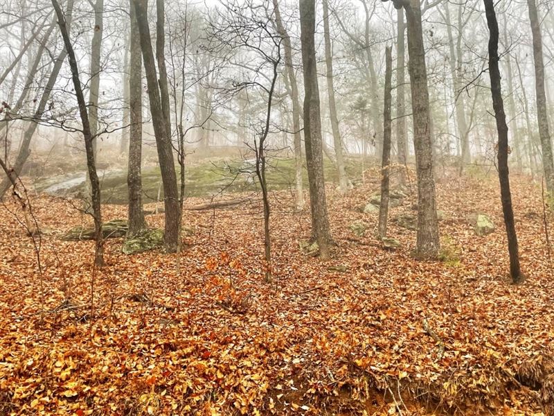 Fox Mountain : Hiddenite : Iredell County : North Carolina